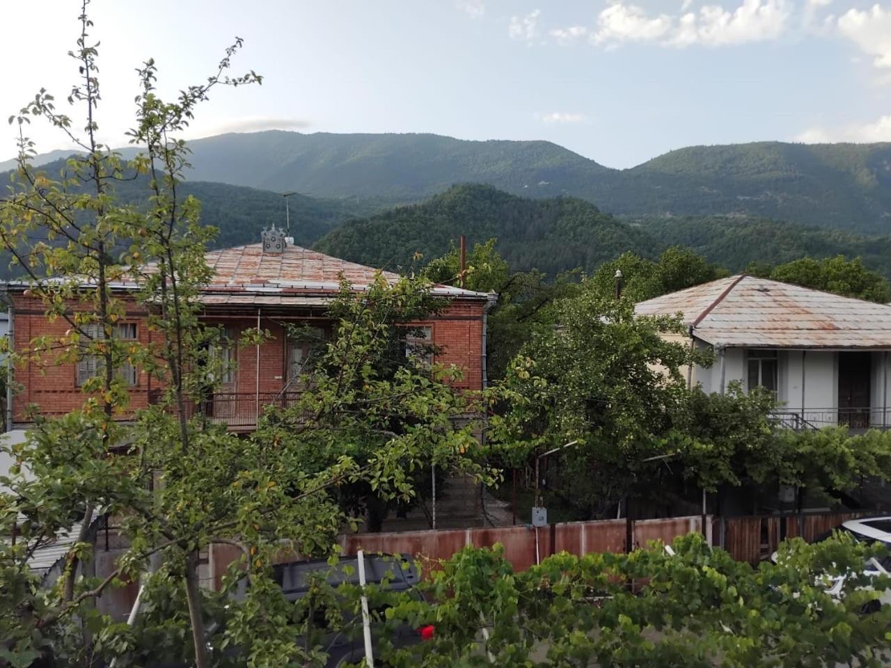Ambrosador Pension Ambrolauri Buitenkant foto