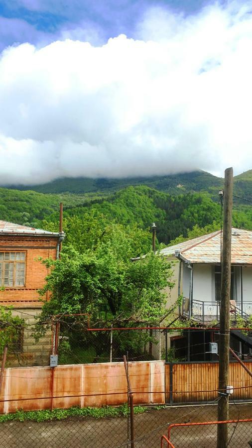 Ambrosador Pension Ambrolauri Buitenkant foto