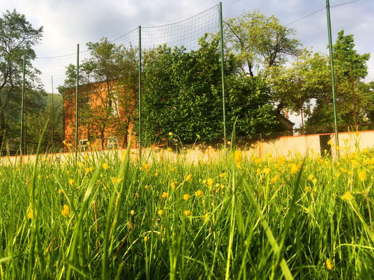 Ambrosador Pension Ambrolauri Buitenkant foto