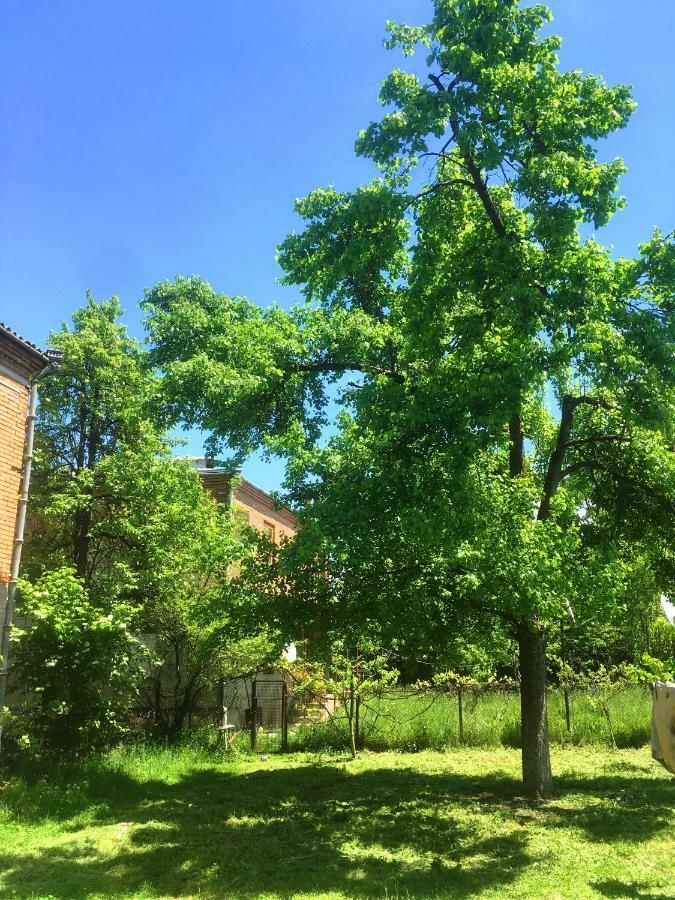 Ambrosador Pension Ambrolauri Buitenkant foto